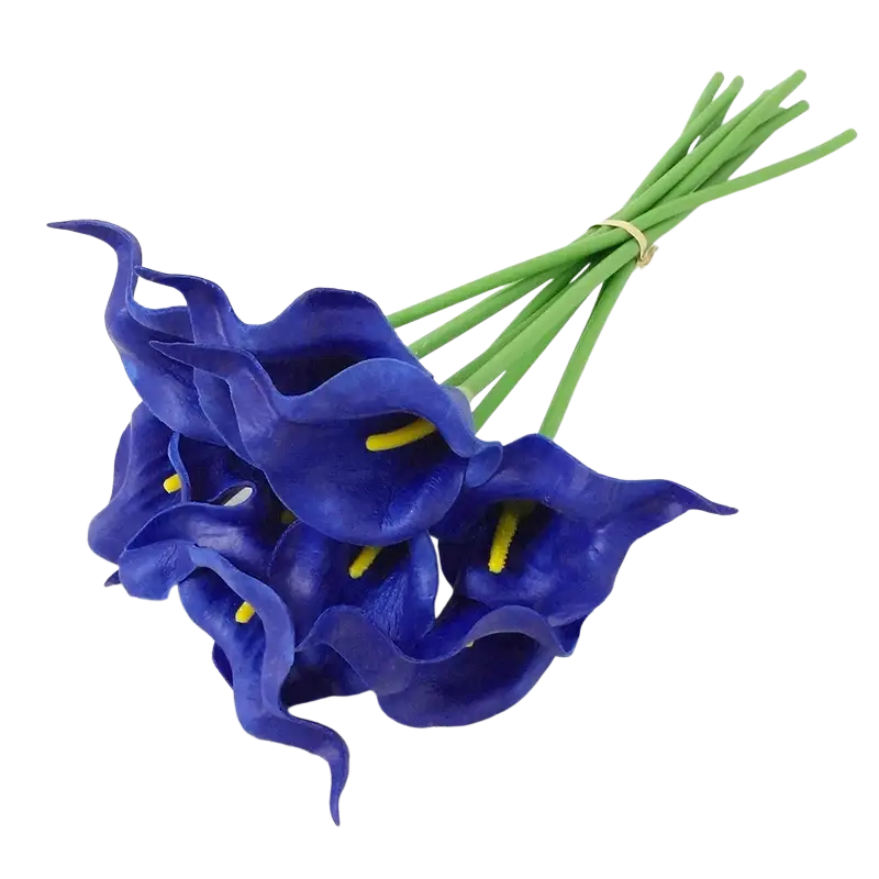 Front view of a vibrant blue calla lily flower bouquet with green stems tied by a gold band for home decor