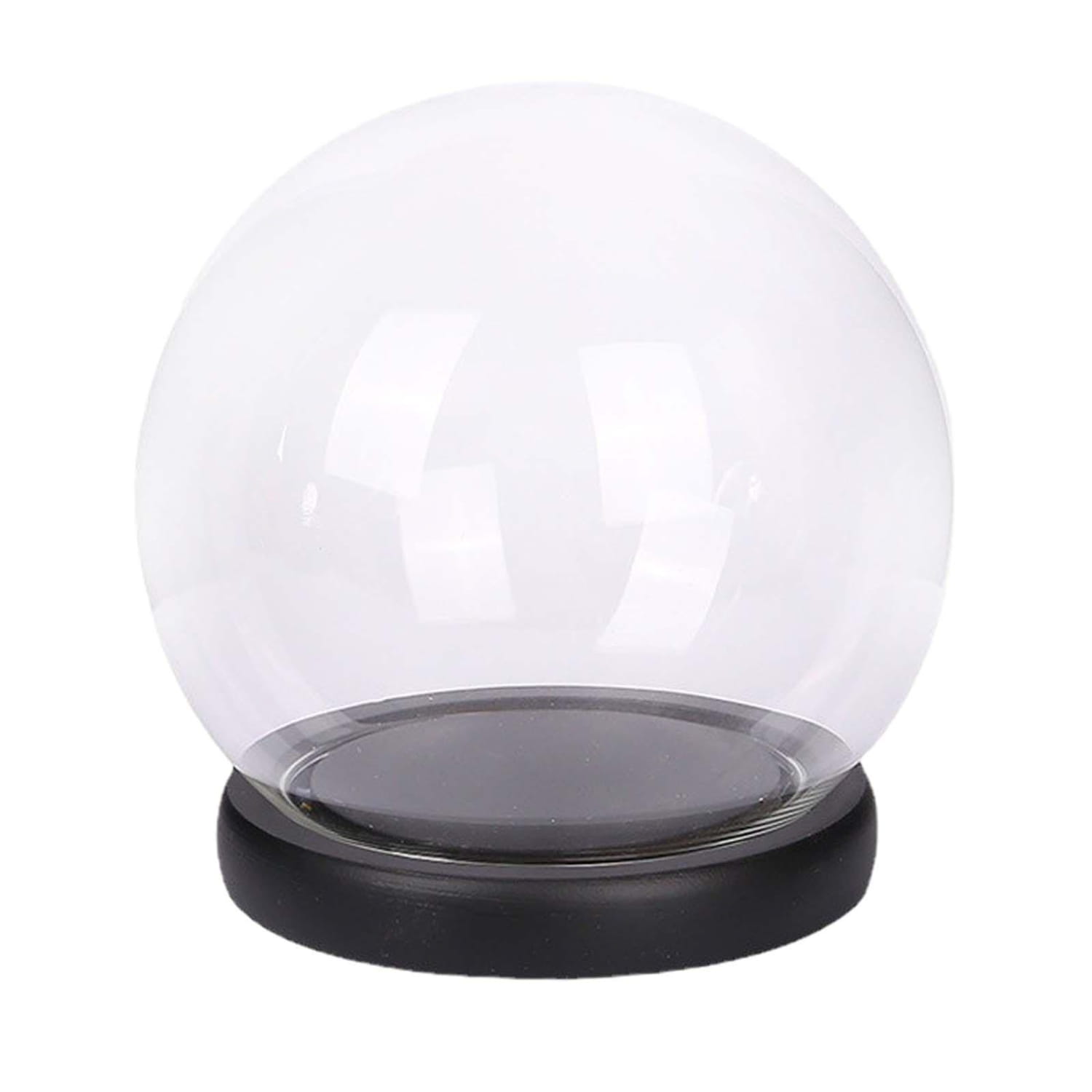 clear glass display dome with black circular base showcasing dried floral arrangement