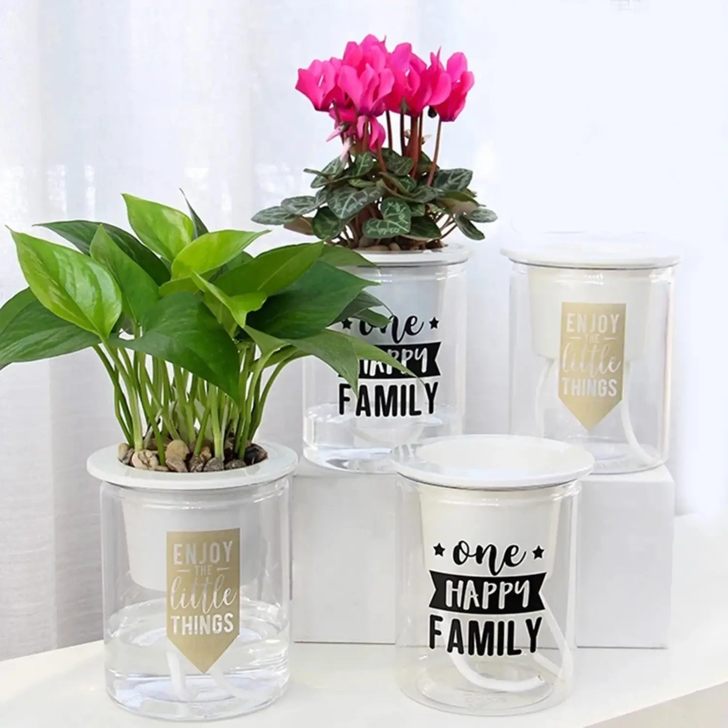 白いフタ付きのクリアガラス製セルフウォーターリング・ミニプラスチック多肉植物ポット6個セット。黒または金の印字モチベーションフレーズがそれぞれ異なる鉢植えの植物とともにデザインされています。