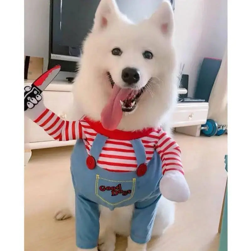 Un perro samoyedo blanco que lleva un disfraz divertido de perro con muñeco asesino, que consiste en una camisa de rayas rojas y blancas con peto de mezclilla azul bordado con buenos perros, y una peluca con accesorio de cuchillo.