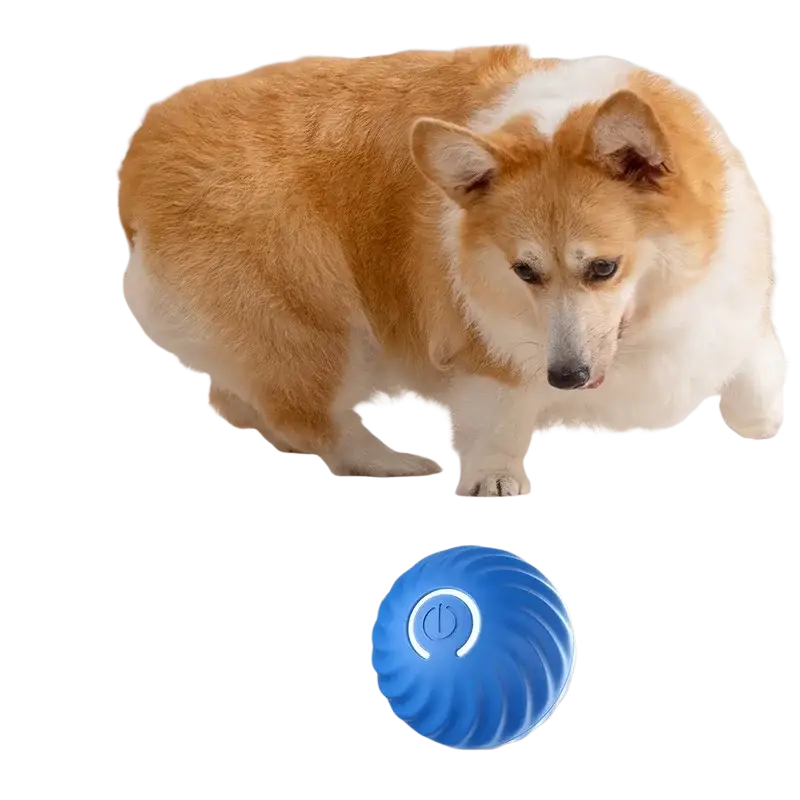 Blue textured interactive dog toy ball with glowing power button shown from front angle for pet accessories feature