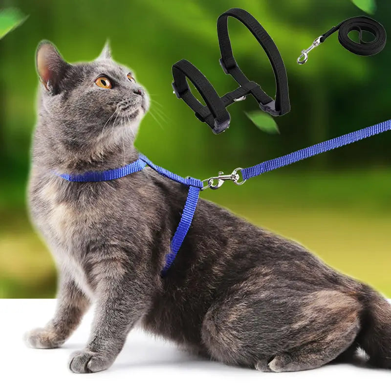 Verstellbares Nylon-Katzengeschirr- und Leinen-Set mit einem blauen gewebten Nylon-Geschirr, verstellbaren Trägern und Metallbeschlägen.