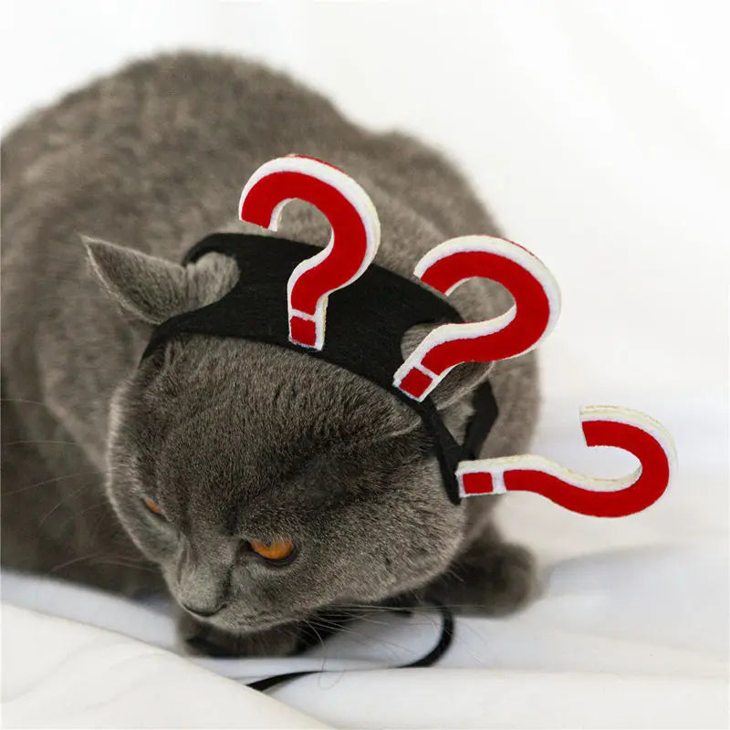 赤い「?」が3つ付いた、猫と犬向けの面白いペットコスチューム用ヘッドウェアを着用したグレーの猫。