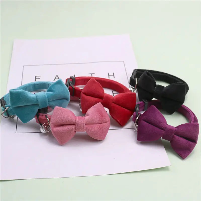 Ein Set aus fünf Samt-Schleifen-Katzenhalsbändern mit Glöckchen in Türkis, Rot, Pink, Schwarz und Lila für stilvolle Haustieraccessoires.