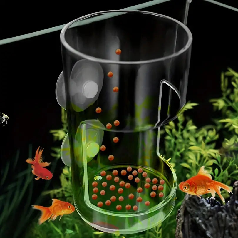Anneau d’alimentation flottant pour poissons en acrylique transparent, avec ventouses et poignée, conçu pour une fixation aisée sur la vitre de l’aquarium.