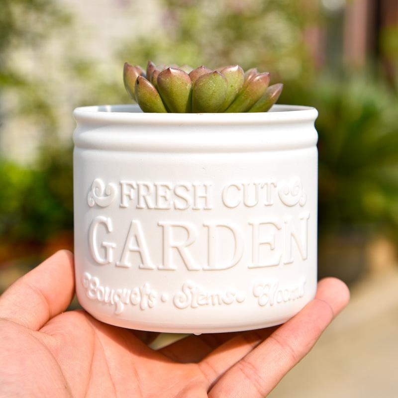 エンボス加工で「フレッシュカットのガーデン」を施し、小さな多肉植物を収容する白色のセラミック小型サイズの丸型植木鉢。