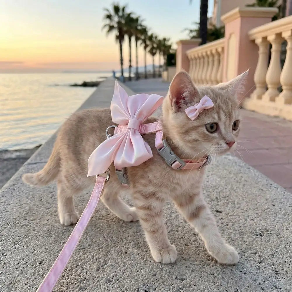 しま模様の子猫のための通気性のあるペット用ハーネスの背面に、繊細なピンクのサテンリボンがあしらわれ、頭にはマッチする小さなリボンが添えられている