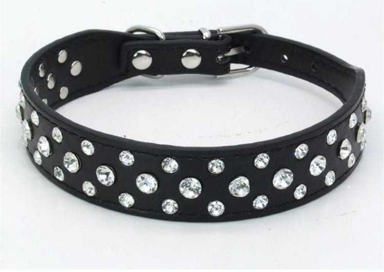Schwarzes Leder-Hundehalsband für kleine Hunde und Katzen, verziert mit Reihen funkelnder klarer Strasssteine und Metallbeschlägen in Silberoptik.
