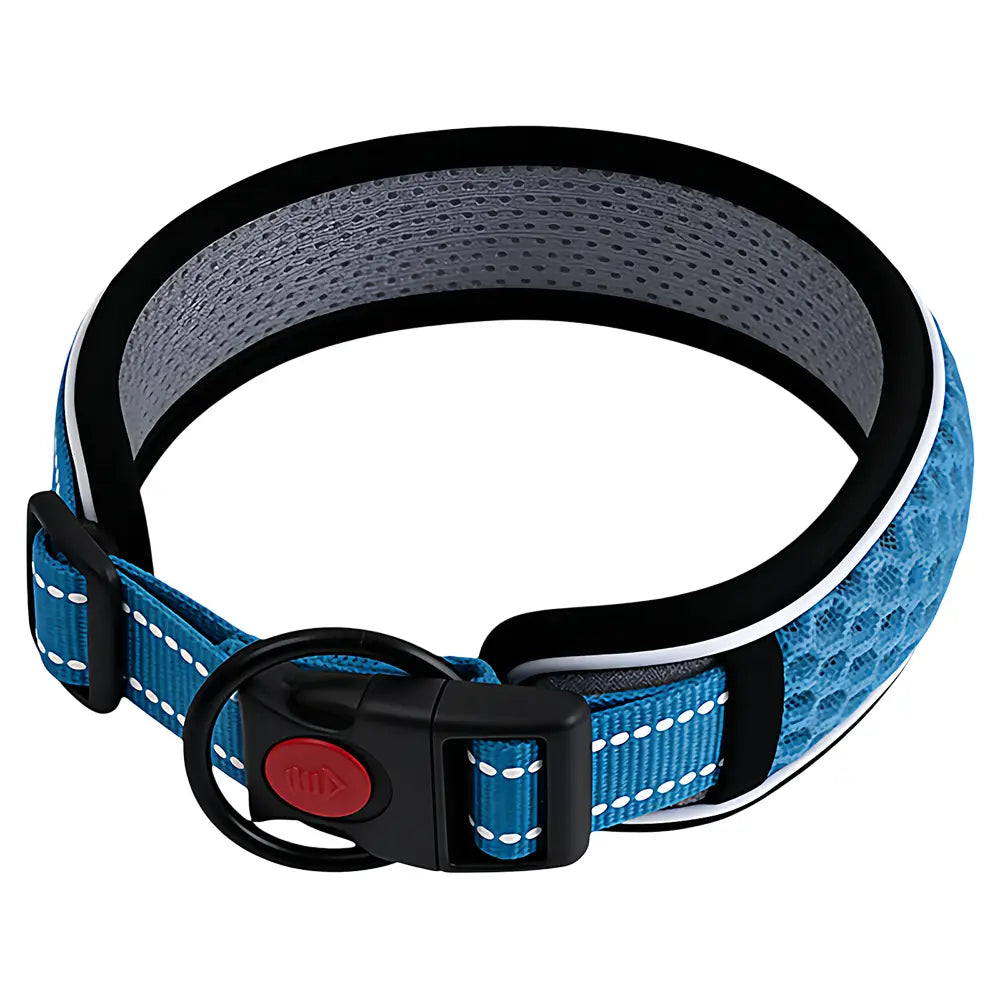 Blaues reflektierendes Hundehalsband mit schwarzen Kanten, grauem Mesh-Futter und rotem Knopf auf der Schnalle des verstellbaren Führgurts