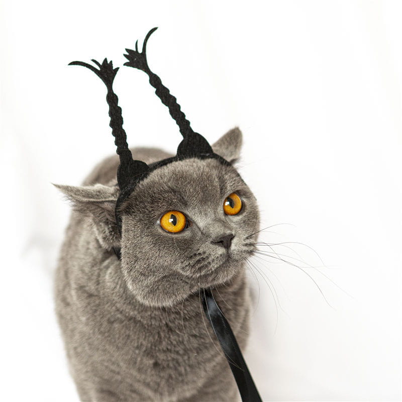猫と犬向けの面白いペットコスチューム用ヘッドウェアとして、先端がとがった黒い編み込みの角風ヘッドバンドを着用したグレーの猫。