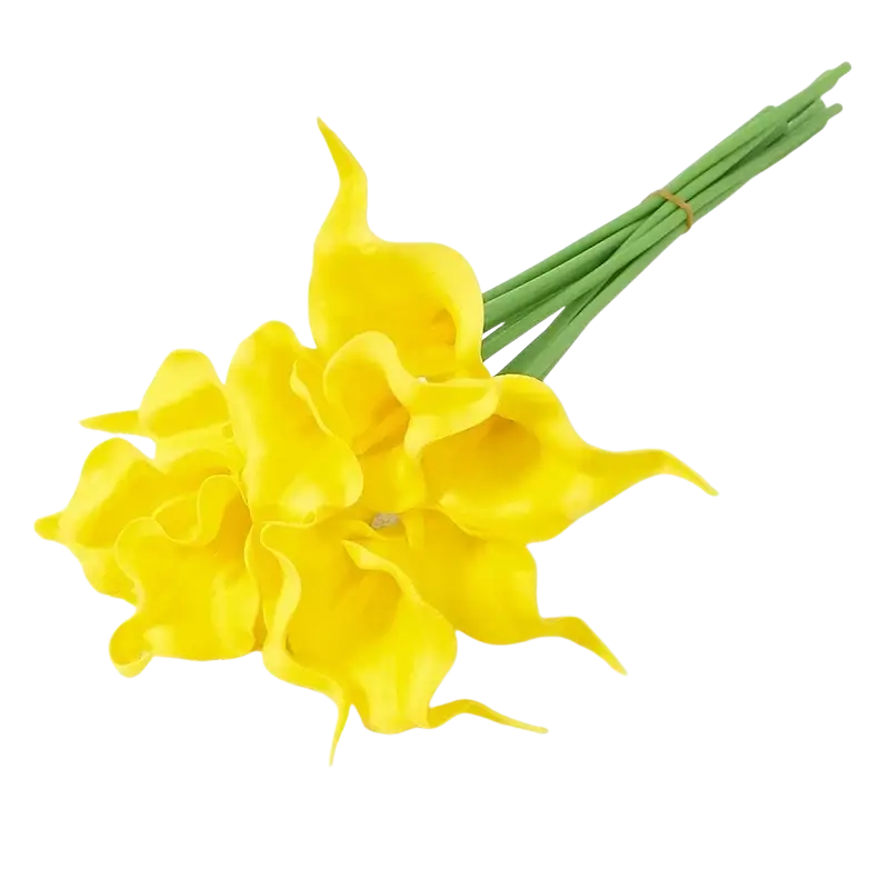 A vibrant yellow calla lily flower bouquet with green stems tied together for home decor and wedding decoration