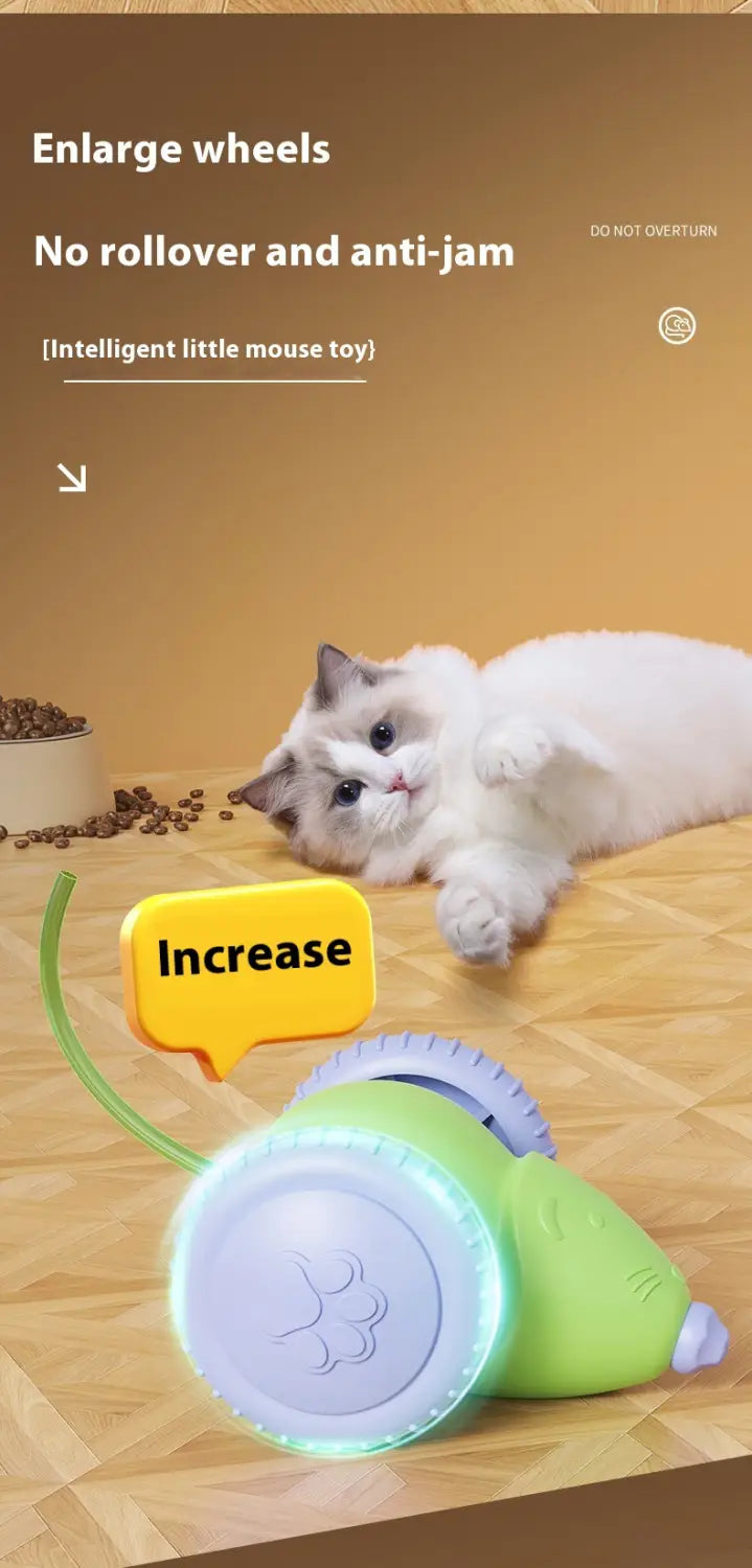 質感のあるホイールを備えた、緑と淡い青のプラスチック製の猫用充電式電動マウストイが、動物玩具のタイプとして実際の写真に示されています。