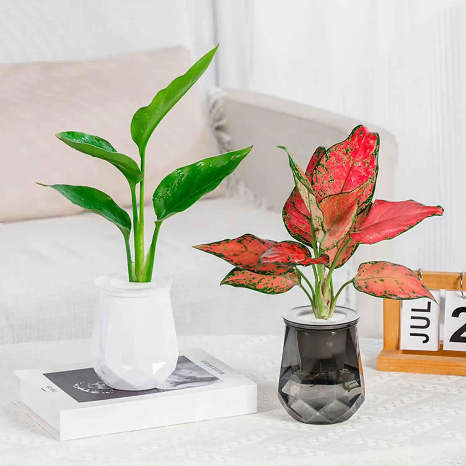 セルフウォーターリング・ミニ多肉植物ポット6個セットからの、緑の葉のある植物を収める白色の幾何学模様のプラスチック花瓶。