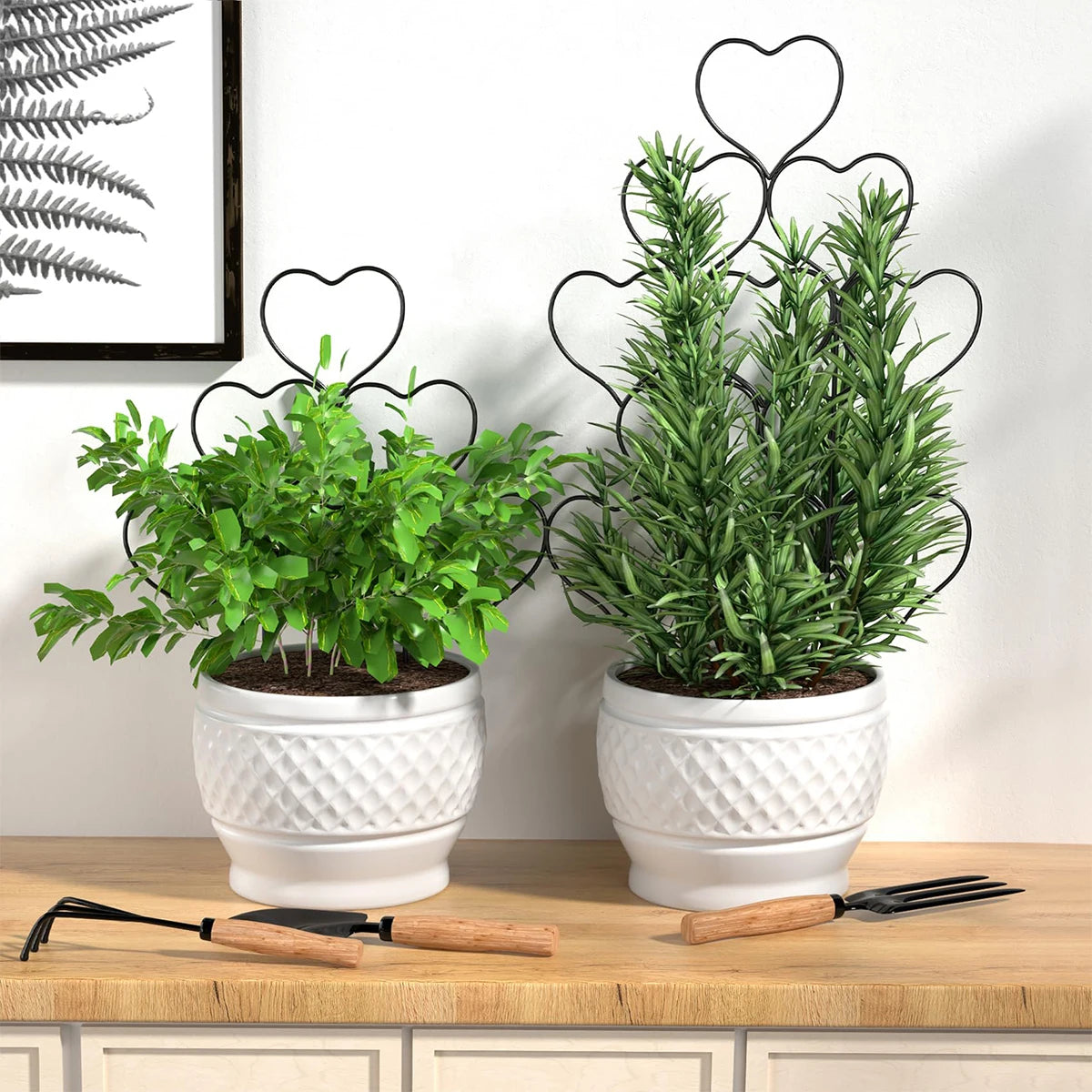 Plant Support Gardening Gadgets Balcony Accessories Plants Bonsai Tool For Seedlings Utensils Trellis Supplies Growth Climbing