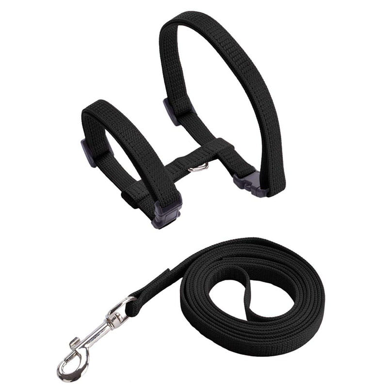 Verstellbares schwarzes Nylon-Katzengeschirr- und Leinen-Set mit silbernem Metallverschluss für eine sichere und bequeme Verwendung.
