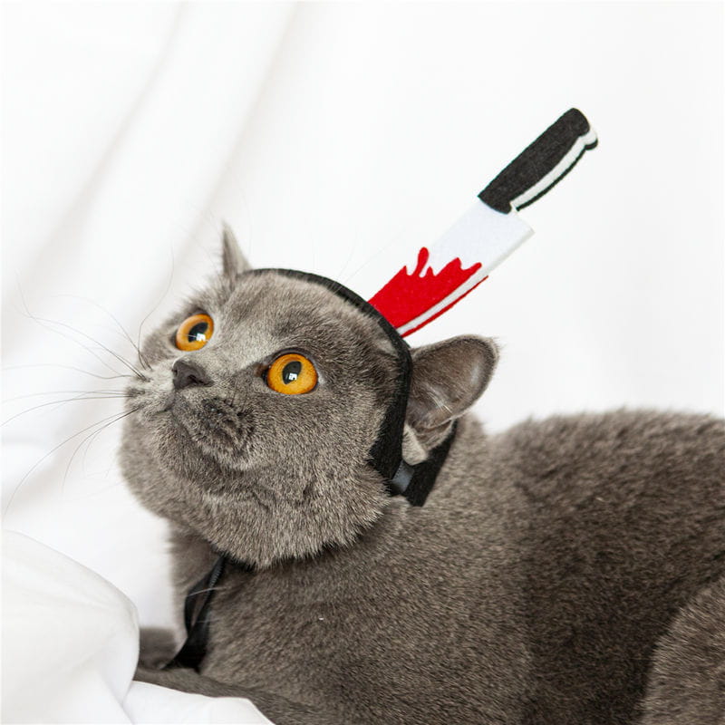 猫と犬向けの面白いペットコスチューム用ヘッドウェアとして、赤と白の玩具ナイフを取り付けた黒い布製ヘッドバンドを着用したグレーの猫。