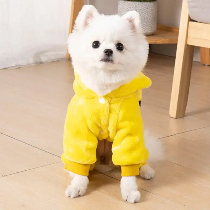 Un perro blanco esponjoso que lleva prendas de vestir para mascotas de forro polar con motas de coral de color amarillo brillante, diseñadas para perros pequeños y medianos.