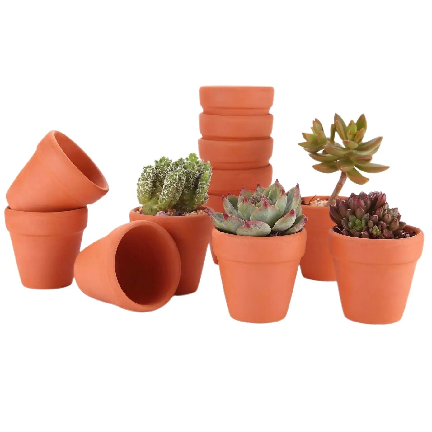 16 Mini-Ton-Töpfe aus Terrakotta mit Drainagelöchern in einem warmen Orangeton, mit klassischen zulaufenden Formen und glatten, unglasierten Tonteilen, ideal als Partygastgeschenk und für Falltests.