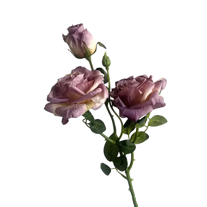 A delicate burnt edge rose bouquet with soft lavender and cream petals and green stems for french vintage decor