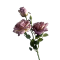 A delicate burnt edge rose bouquet with soft lavender and cream petals and green stems for french vintage decor
