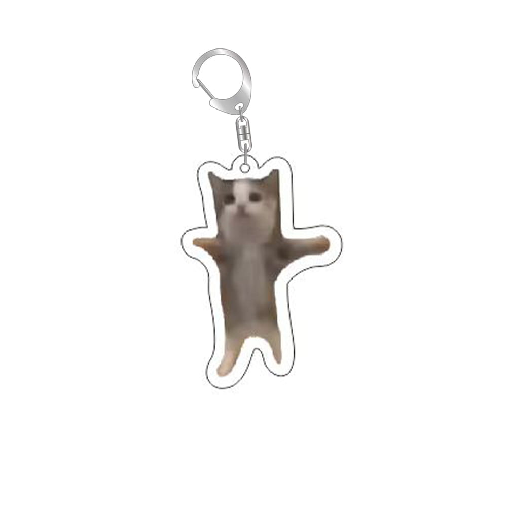 Clear acrylic cat meme keychain featuring a printed image of a cat with its arms outstretched and attached to a silver-toned metal clasp.