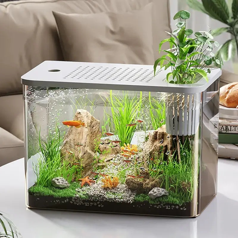 Modern transparent desktop fish tank with clear glass sides, a white perforated lid, and an integrated plant holder on one side.