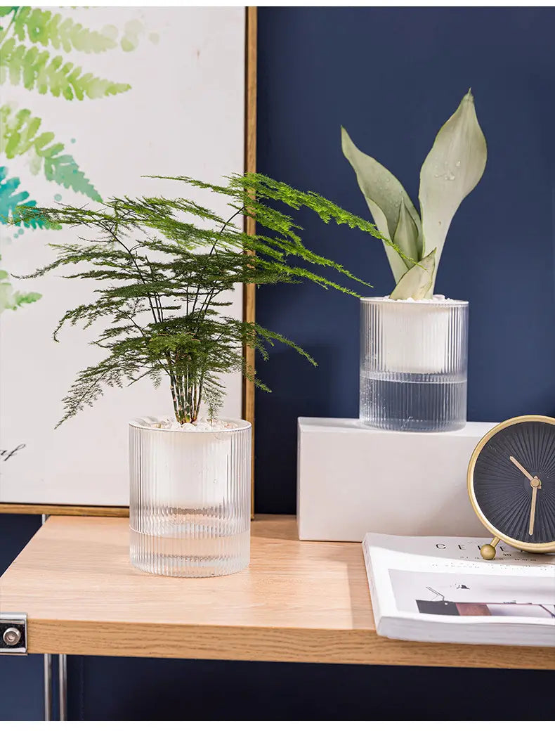 Zwei klare gerippte gläserne selbstbewässernde Indoor-Pflanzentöpfe mit grünem Pflanzenbewuchs für die Nutzung auf dem Schreibtisch.