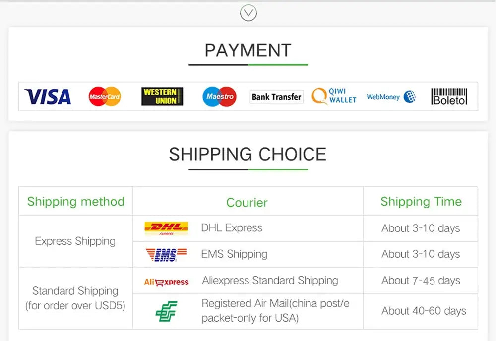 payment and shipping options page showing logos for visa, mastercard, western union, maestro, bank transfer, qiwi wallet, webmoney, boleto, dhl express, ems shipping, and aliexpress standard shipping for the iced out diamond square watch for men silver blue.