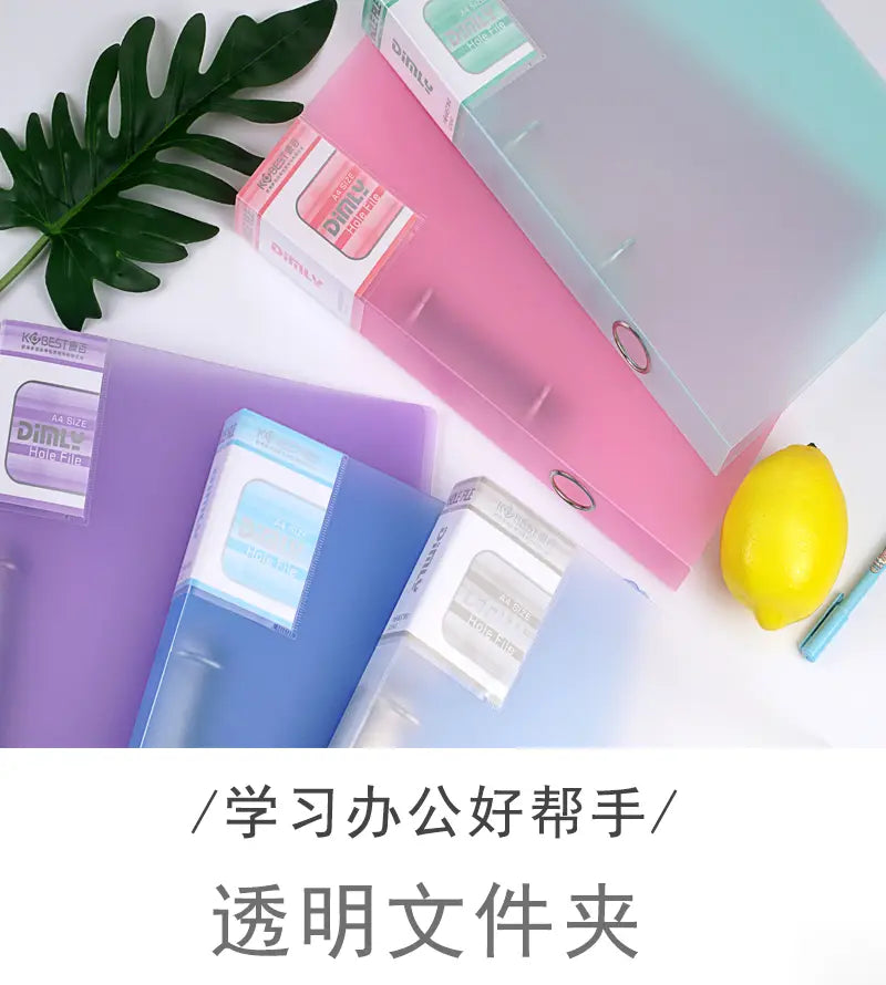 a4 pastel binder file folder transparent ring organizer featuring transparent file folders in pastel pink lavender and blue with clear plastic bodies and metallic rings
