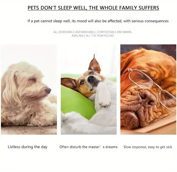 Soft fluffy white dog with long fur lying peacefully on a plush cat bed and dog bed made of warm material designed for winter pet products.