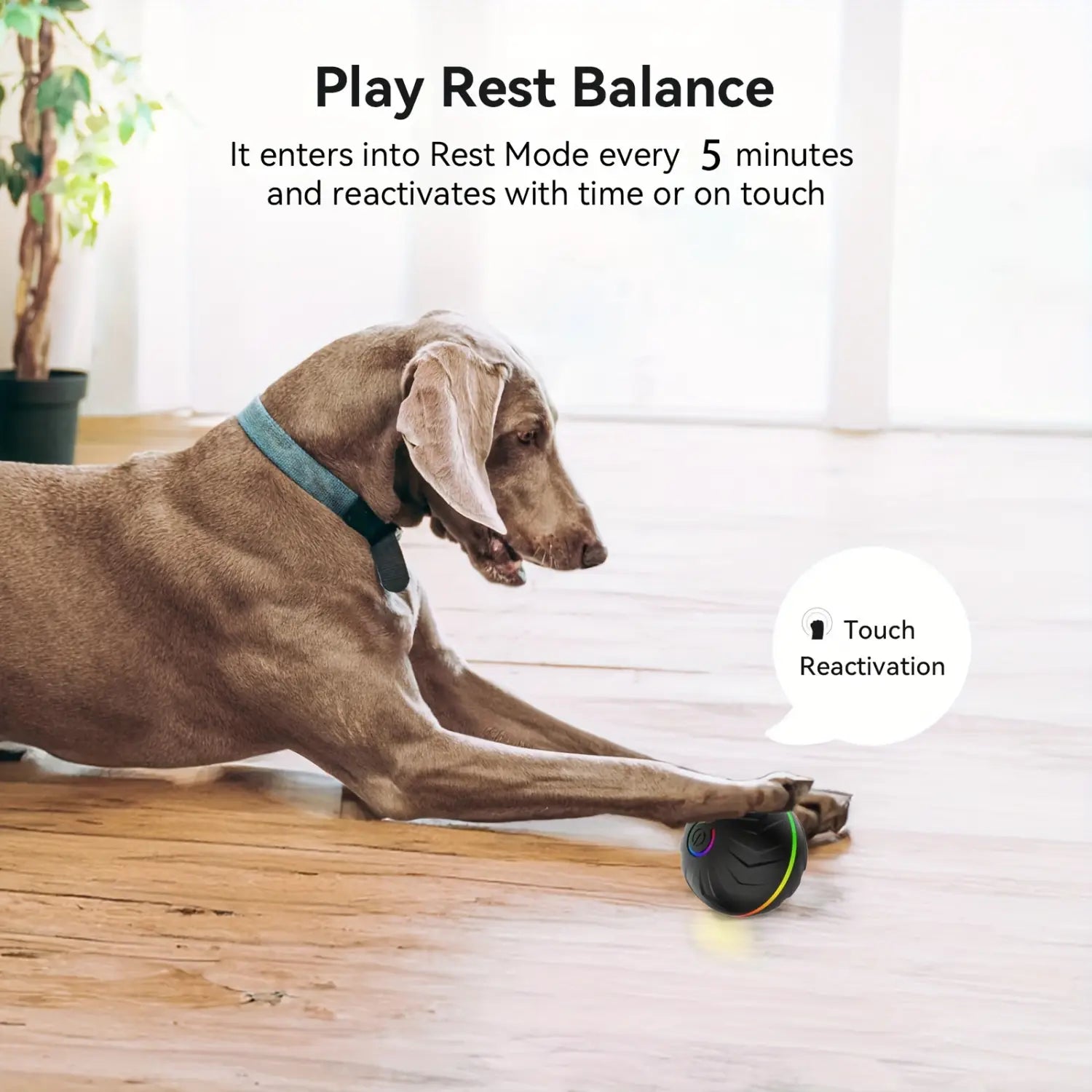 black spherical interactive dog toy with a textured surface and glowing rainbow led lights smart rolling ball toys type designed for pet engagement