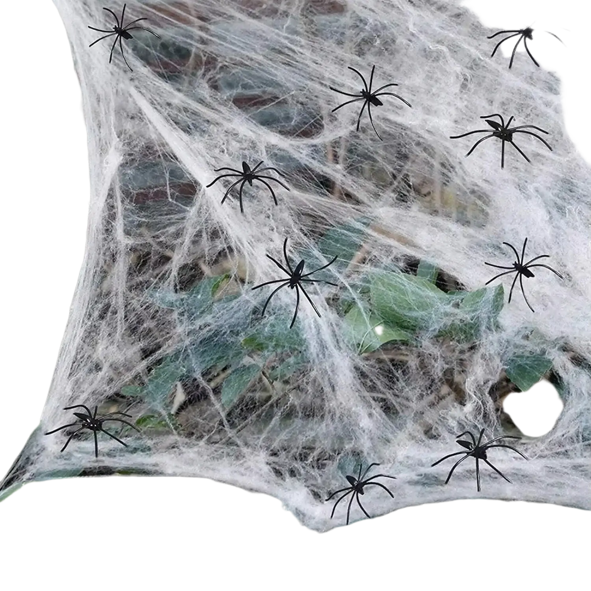 A decorative white spiderweb with multiple black plastic spiders on super stretch cobwebs for halloween party decorations