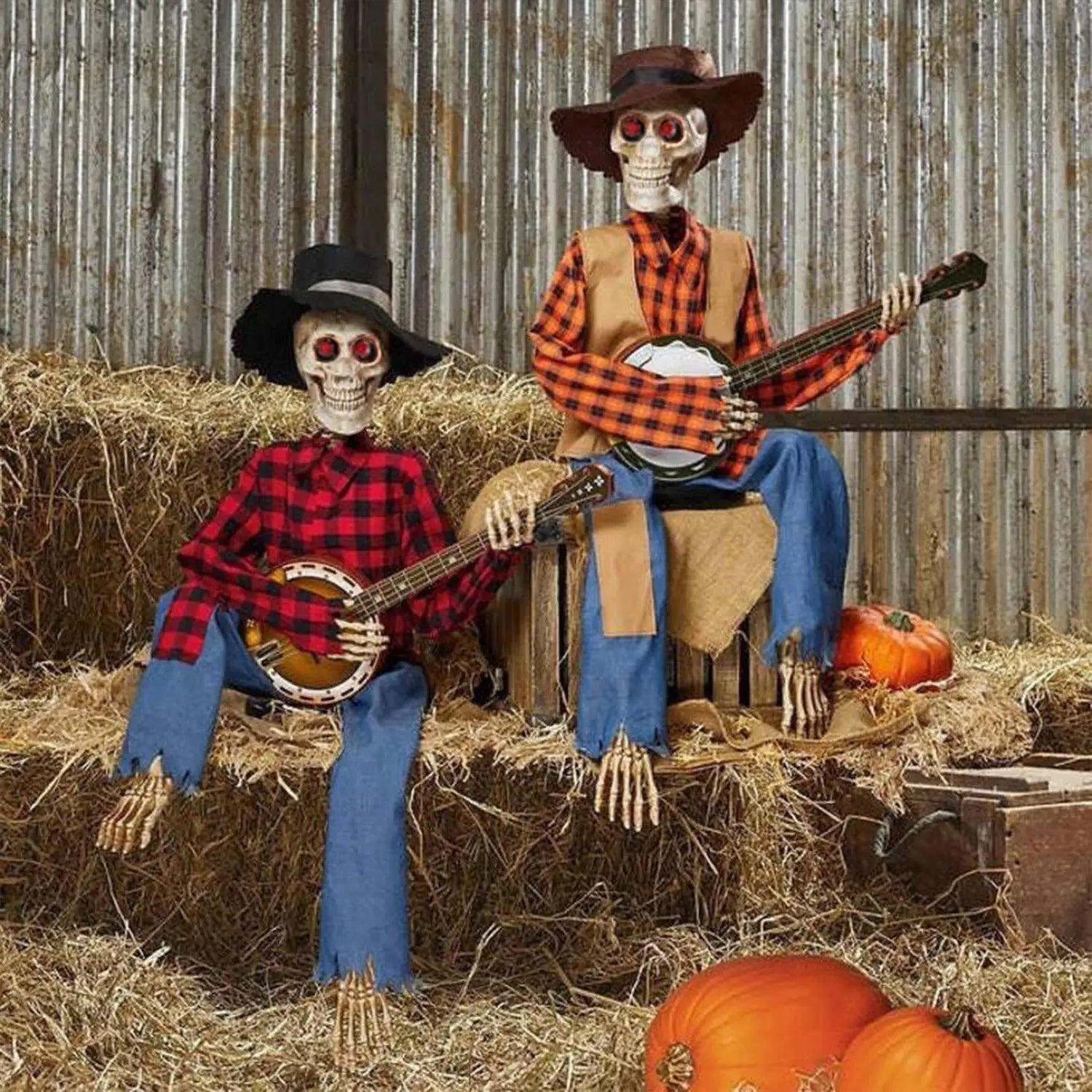 dos figuras de calavera luminosa de Halloween vestidas con indumentaria de vaquero, con camisas de cuadros y pantalones vaqueros azules, tocando el banjo, como decoración de calaveras para Halloween