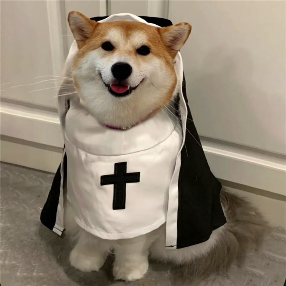 Un perro mascota esponjoso mestizo tipo shiba inu color canela y blanco, vestido con un disfraz de monja en fibra de poliéster blanco y negro que presenta una cruz negra prominente en el frente.
