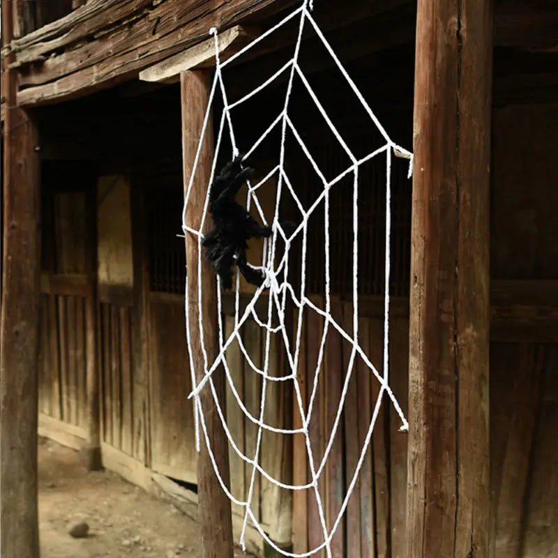 décoration de toile d’araignée en corde blanche avec une fausse araignée en peluche noire suspendue, pour des décorations d’Halloween.