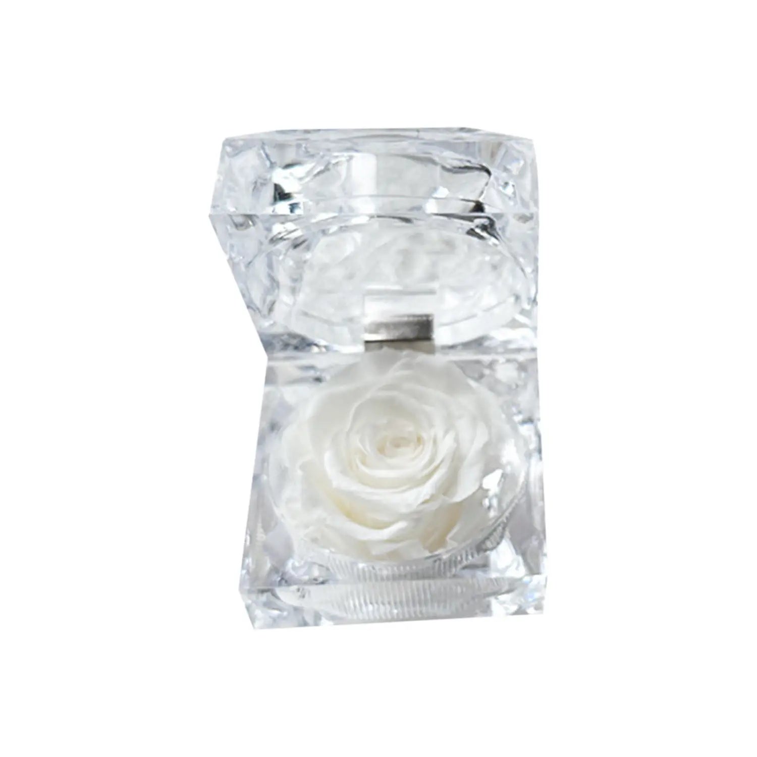 A clear faceted crystal gift box containing a delicate white preserved rose for eternal flower decoration.