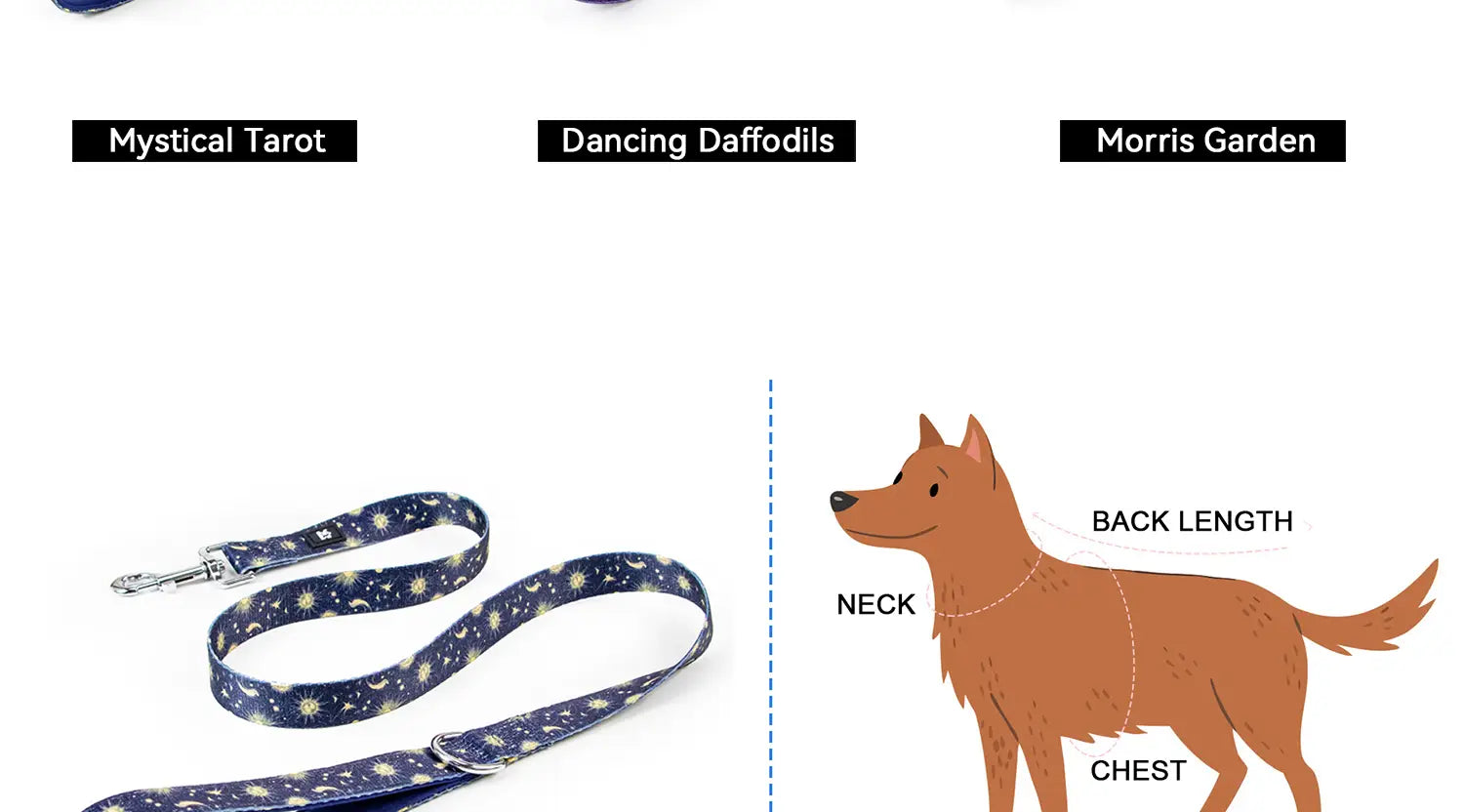 Laisse pour animal de compagnie bleue avec motif d’étoile et de lune blanche, circonférence du cou réglable, pour un usage avec un collier pour animal de compagnie dans un ensemble de harnais pour animal de compagnie