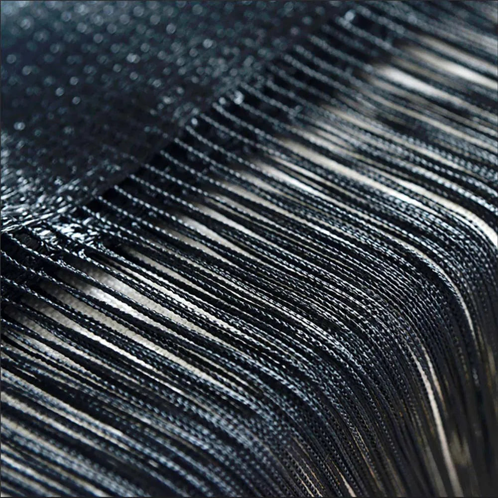 Curtains For Living Room 50CMX200CM Thread Curtain For Living Room Door Wall Window Panel Room Divider Decorative Tassel Curtain
