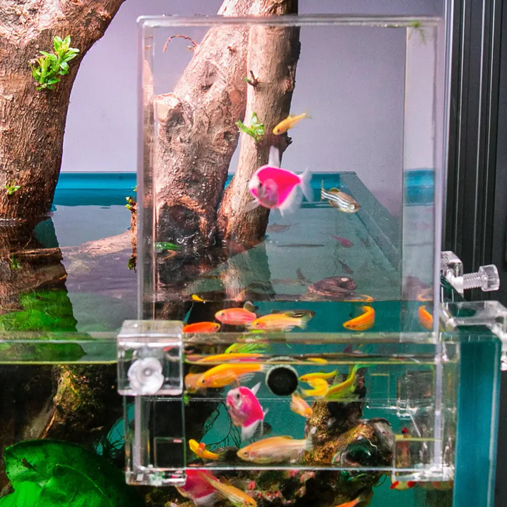 Aquariums Negative Pressure Fish Tank Clear Aerial Aquarium Extender Ecological Landscaping Decoration Fish Tank Bowl Isolation