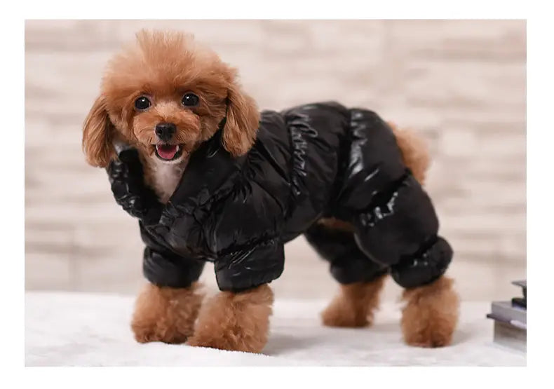 小型犬向けのブラックパファーコート。ペット服用のパピー防風デザインで、冬用に暖かいコットンを使用しています。