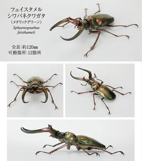 バンダイの金属質の緑のスフェノグナトゥス・フェイスタメリ(Sphaenognathus feisthameli)ノコギリクワガタ完成品モデル玩具で、虹色の光沢のある外骨格と、目立つ角のような大あごを備えています。