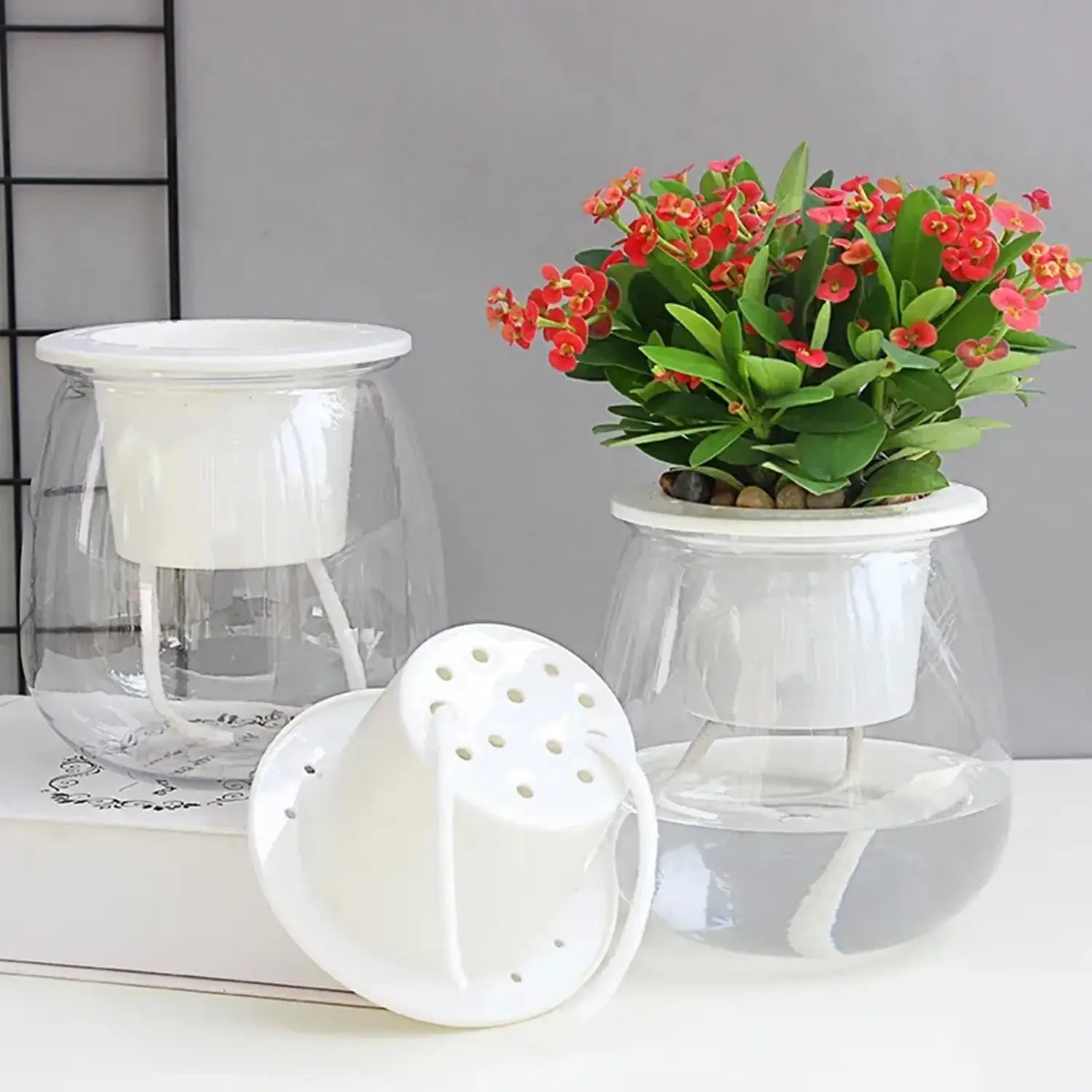 6個セットのミニプラスチックポットからの、透明なガラス製外容器と、パンチング加工のフタ付きの白色プラスチック製セルフウォーターリング多肉植物プランター。