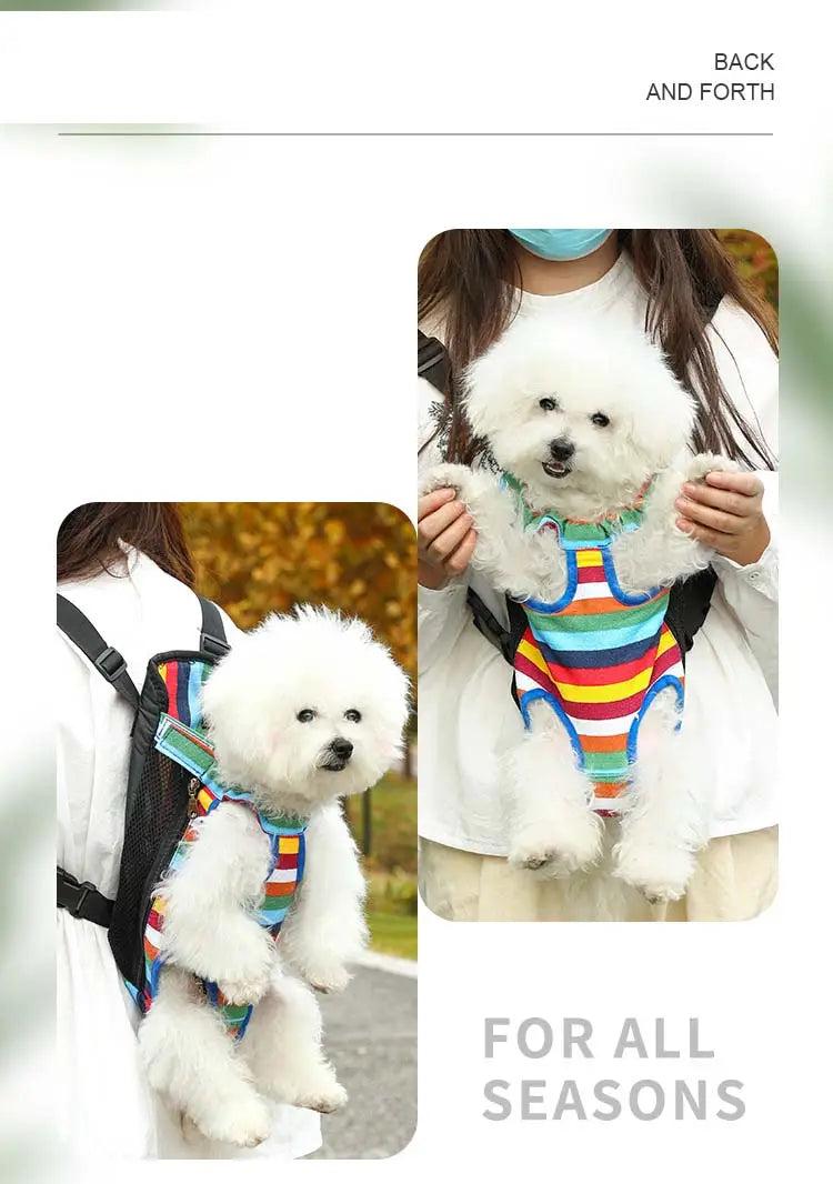 A colorful striped pet carrier vest with black straps designed for comfortable transport shown as the back side in a cat carrier backpack small dog travel bag gray large.