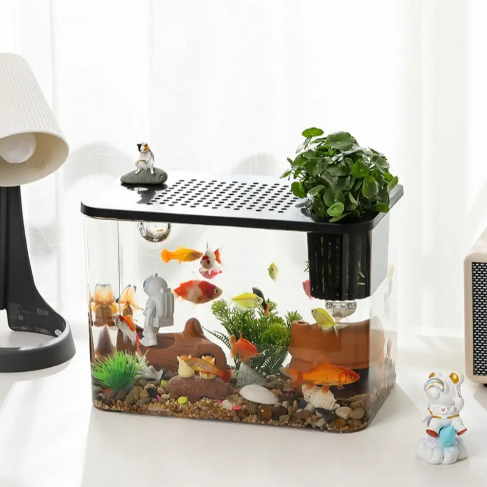 pecera rectangular transparente para mascotas y de ABS, con tapa negra, que incluye una pequeña planta en maceta en un lateral y figuras decorativas en su interior