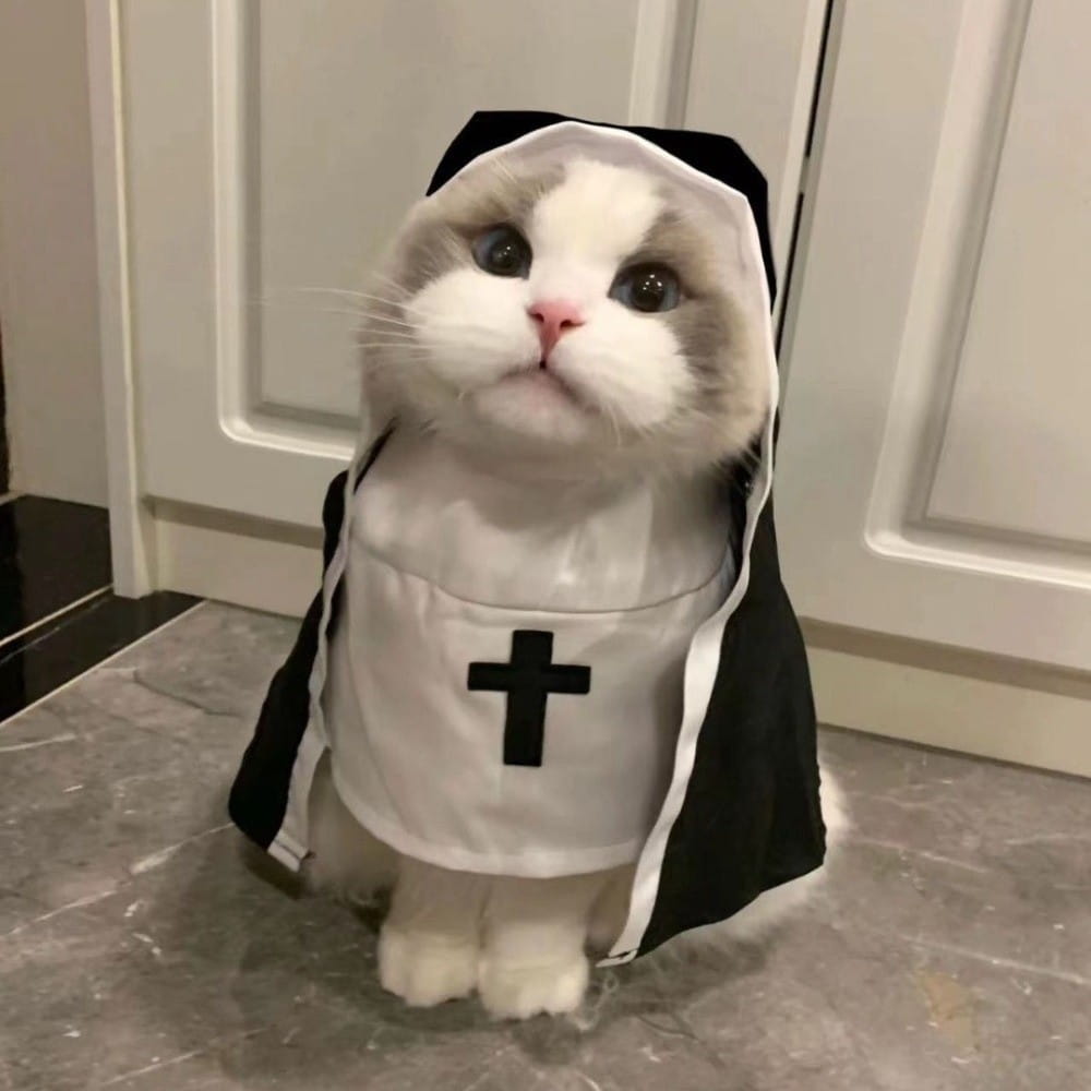 Un gato esponjoso blanco y gris con un disfraz de monja para perro y gato mascota en blanco y negro hecho de fibra de poliéster, con un emblema de cruz en el pecho