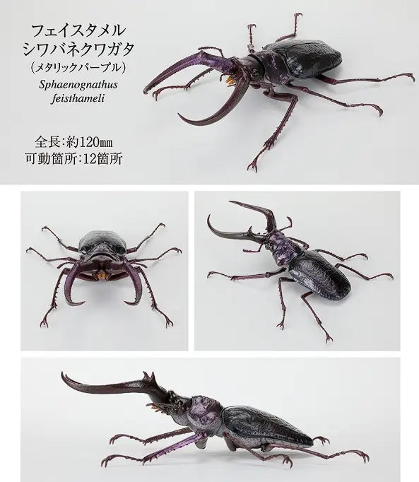 バンダイの金属質パープルのスフェノグナトゥス・フェイスタメリ(Sphaenognathus feisthameli)クワガタ完成品モデル玩具で、詳細な外骨格と目立つ大あごを特徴としています。