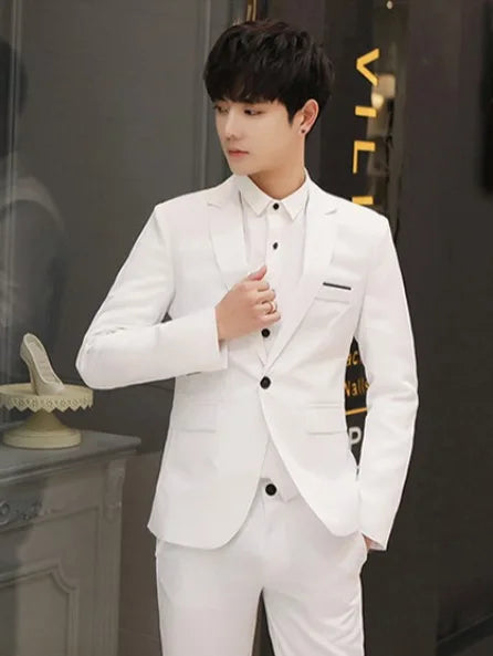 Mens Wedding Two Piece Suit Groom Best Man Slim Casual Dress