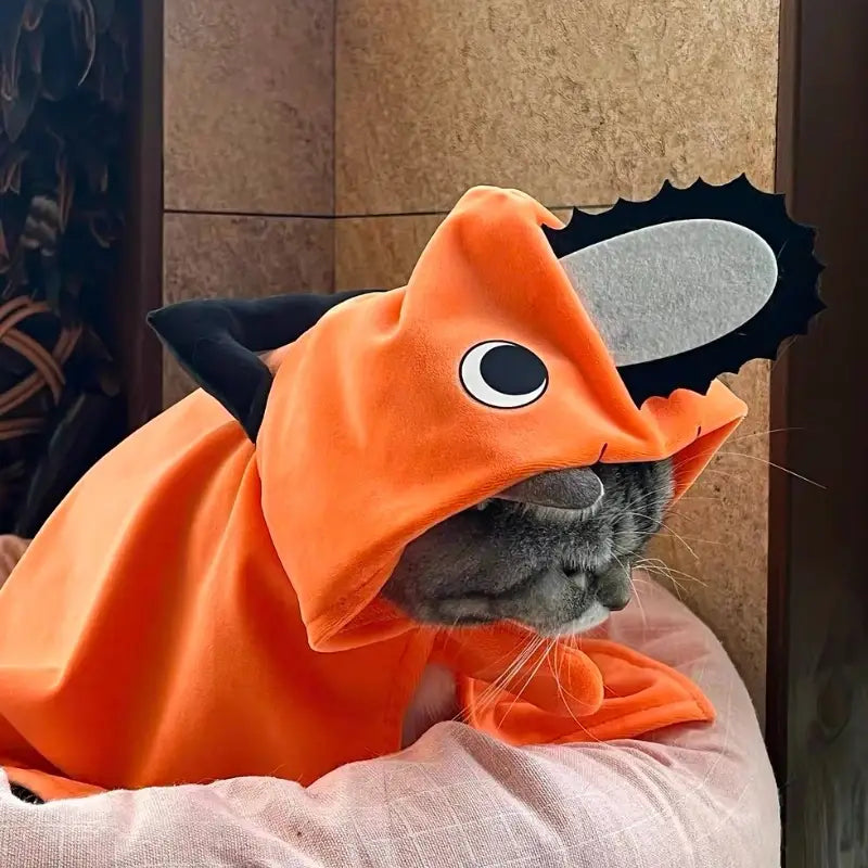 ポチタのペット服を着たグレーの猫。黒い耳と、背面にシルバーのチェーンソーブレードのデザインが施された、ファッショナブルなオレンジのぬいぐるみ風フード付き猫・犬コスチューム。