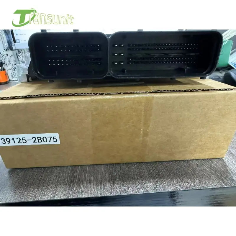 Schwarzer Kunststoff-Automobilsteckverbinder mit zwei rechteckigen Bereichen, die mehrere Pinreihen auf der Rückseite der ECU für die Hyundai-Engine-Computerplatine 39125-2b075 enthalten.