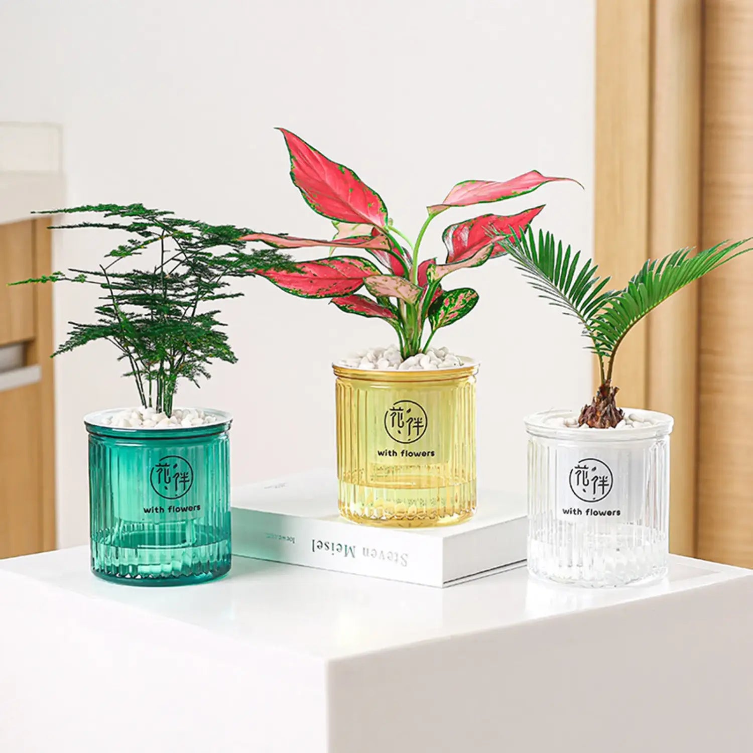 ティールゴールドとクリアの3つの半透明のリブ付きガラスプランター。各プランターに異なる鉢植えの観葉植物が入り、セルフウォーターリング・ミニプラスチック多肉植物ポット6個セットを表しています。